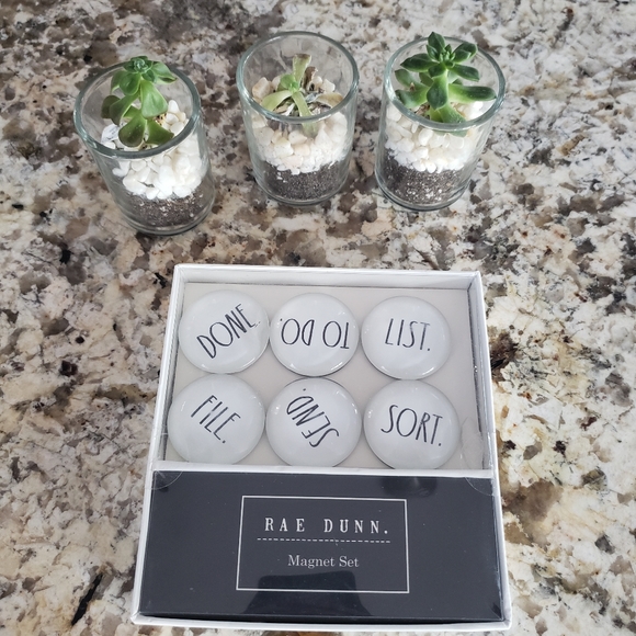 Rae Dunn Magnet Set 6 Glass-Dome Magnets - Picture 2 of 6